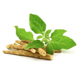 KSM-66® Ashwagandha